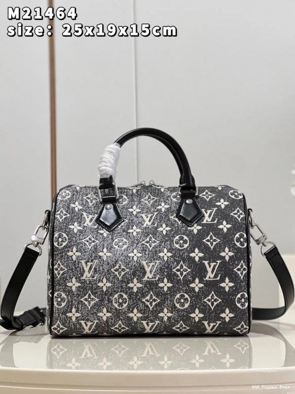 AAA Replica Ru BANDOULIÈRE LOUIS VUITTON 25 SPEEDY 0824